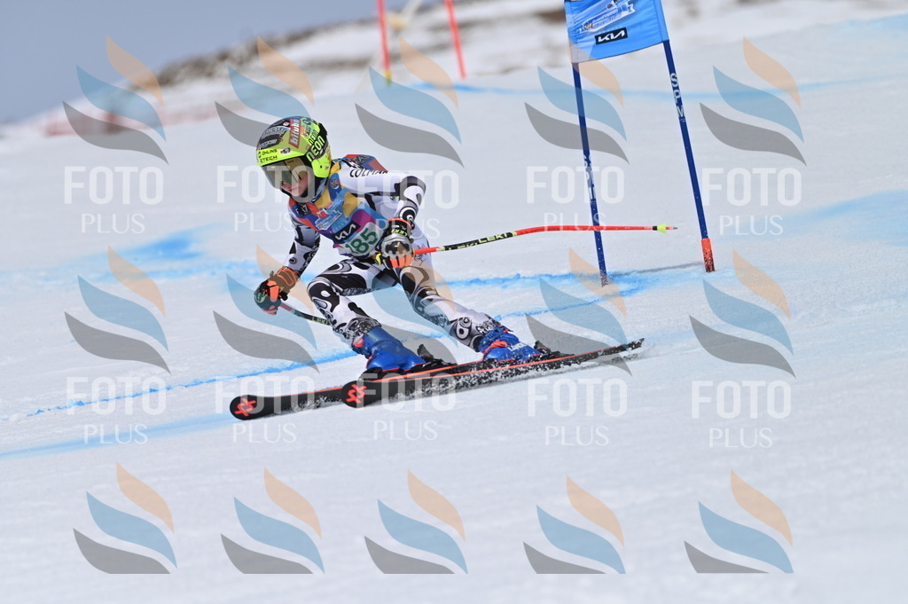 BGV_3618 | holidayphoto