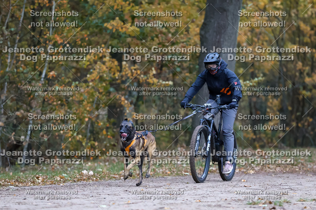 Dog Paparazzi - SD CaniX Championship 2025-41 | Dog Paparazzi Jeanette Grottendiek Fotografie & Videografie - Realisiert mit Pictrs.com