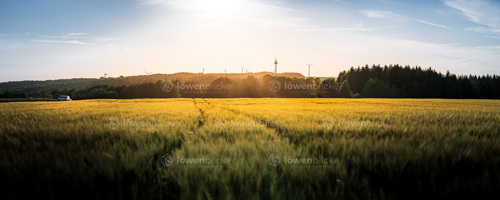 LOEWENBLICKE_DANIEL-SORKALLA_0175 | löwenblicke | shop