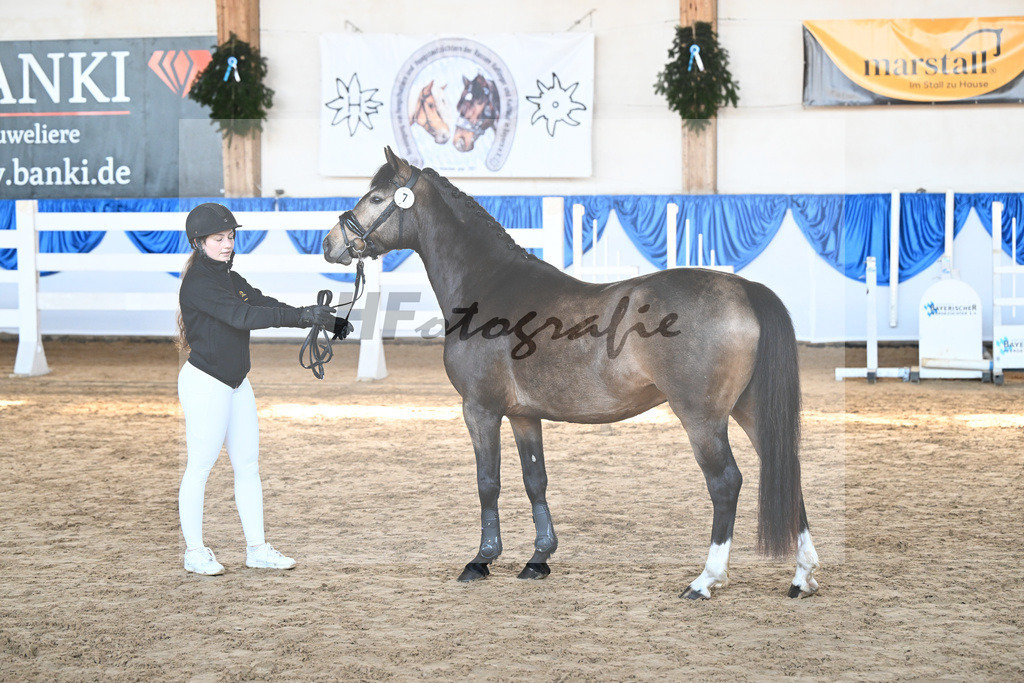 Kat-Nr. 7 Dian v. Diamond Touch_Schneider_9260183 | hf-fotografie - Realisiert mit Pictrs.com