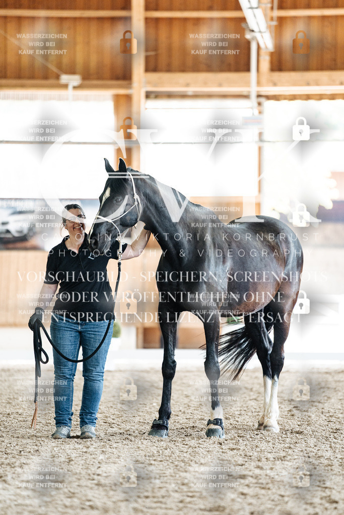 CK908037 | Turnierfotografie Pferdefotografie Trier Rheinland-Pfalz Pferdesport Reitsport Tierfotografie Sportfotografie Pferdevideo Pferdevideografie Equestrianvideography equestrianphotography  - Realisiert mit Pictrs.com