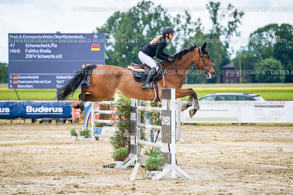 DSC04800 | Pferdegrafie