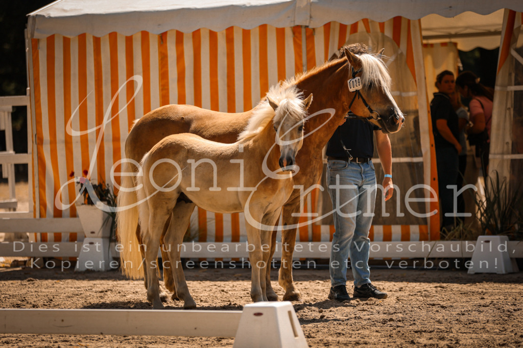 06.DoH00061 | Leoni Ertmer Photography - Realisiert mit Pictrs.com