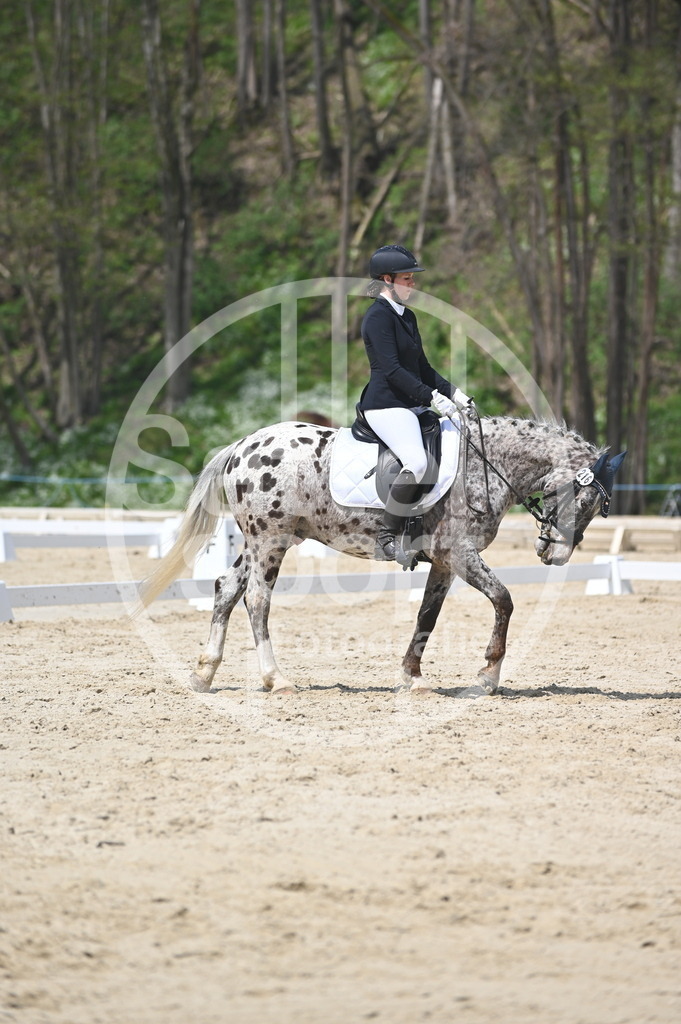 DSC_2270 | sattelsport - Realisiert mit Pictrs.com