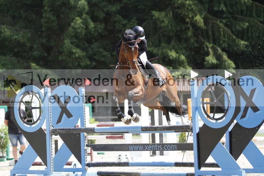 _MG_2253 | equestrian-live-com