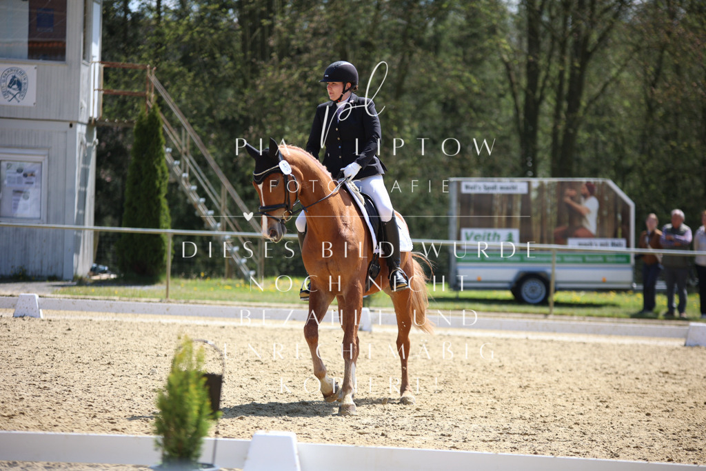 IMGT2241 | pl-fotografie