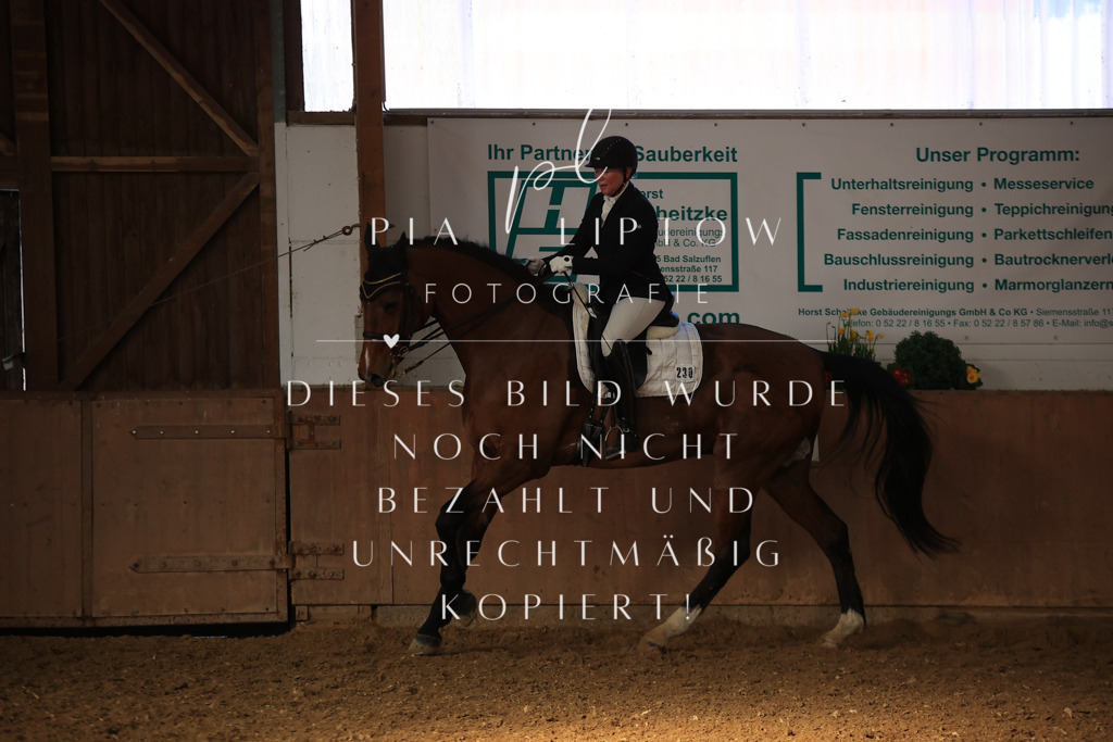 IMGT1913 | pl-fotografie