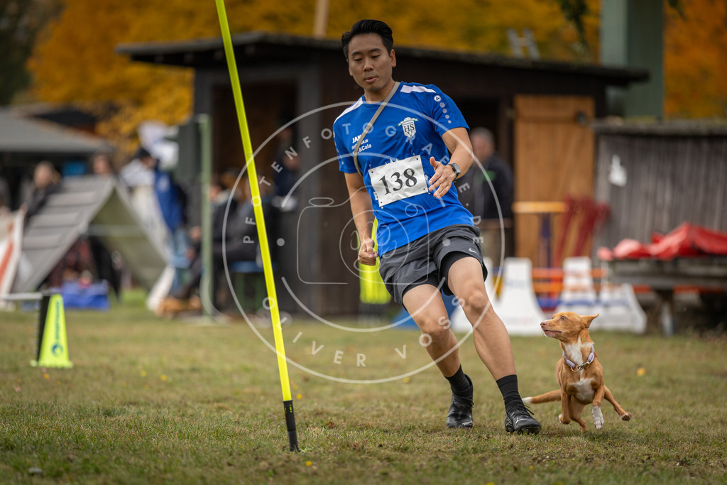 Pfotenfotografie_DV3A7883 | Hundefotografie, Tierfotograf, Pfotenfotografie, Fotoshooting Hund, Hunde Portrait, Hundesport, Hundeportraits, Heideshooting, Hunde, Sportfotograf, Hundefotograf, Turnierhundsport, THS,  - Realisiert mit Pictrs.com