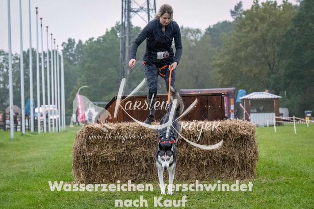 0909-_ZZ93364-Bearbeitet | kk-dogfotos