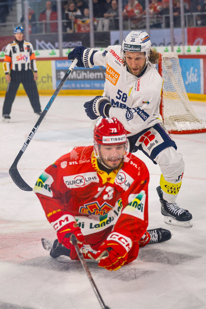 EHCB vs HCAP 20260115_wb-4717 | Sportbilder, Sportfotograf, Hochzeits- und Eventfotografin, Flugshows, Portraits und Tiershooting, Aviation, Downhill, Nationalleague, Swissleague, International