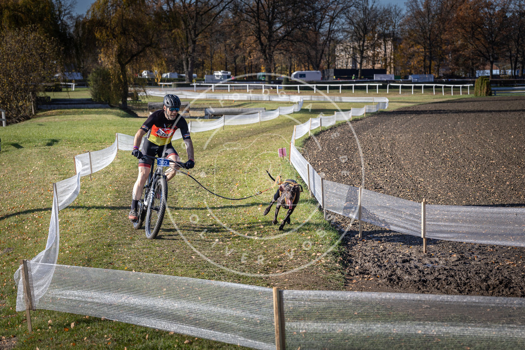 CaniXpix_DV3A6113 | Hundefotografie, Tierfotograf, Pfotenfotografie, Fotoshooting Hund, Hunde Portrait, Hundesport, Hundeportraits, Heideshooting, Hunde, Sportfotograf, Hundefotograf, Turnierhundsport, THS,  - Realisiert mit Pictrs.com