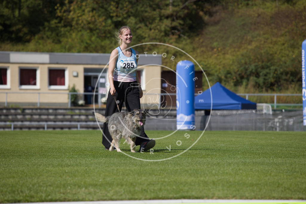 0L8A2549 | Hundefotografie, Tierfotograf, Pfotenfotografie, Fotoshooting Hund, Hunde Portrait, Hundesport, Hundeportraits, Heideshooting, Hunde, Sportfotograf, Hundefotograf, Turnierhundsport, THS,  - Realisiert mit Pictrs.com