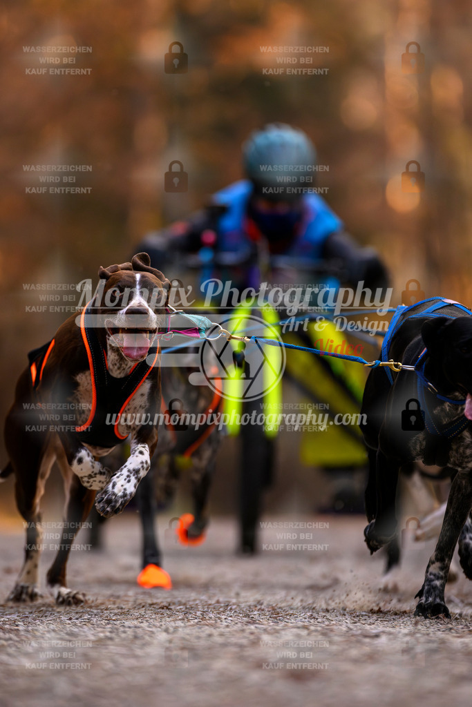 MompixPhotography_DM_AKDM_SO_2025_Wagen-32 | PayLife