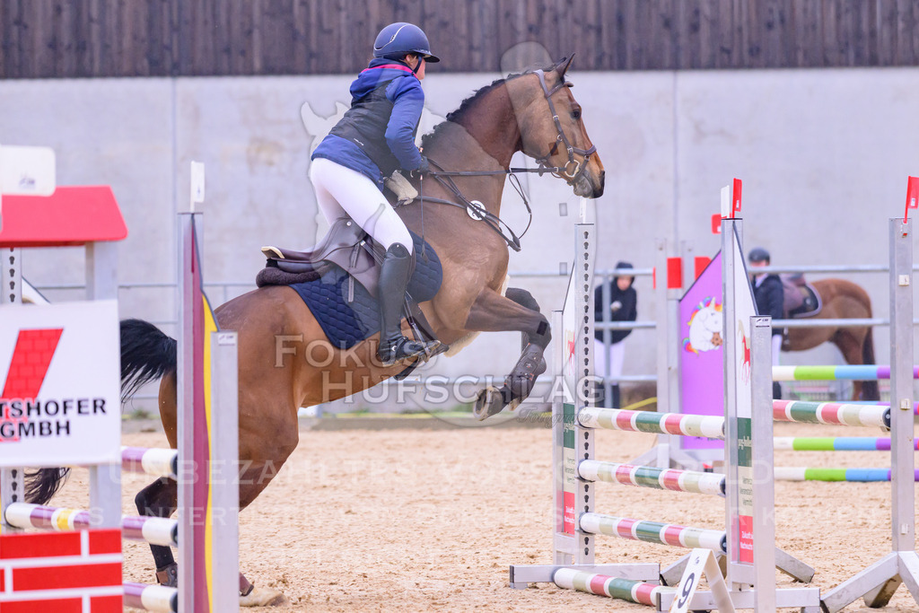10042026-Mammendorf-Prfg15-0103 | Fokus Hufschlag Fotografie - Realisiert mit Pictrs.com