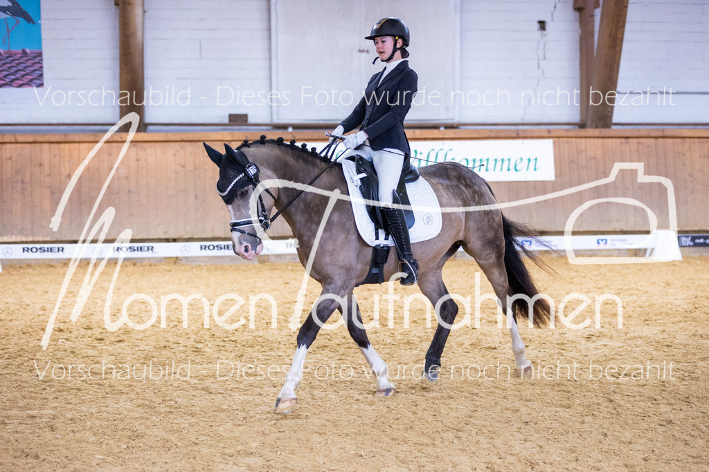 Sth-A-Dre-2St-014 | MomenTaufnahmen Pferdesportfotos