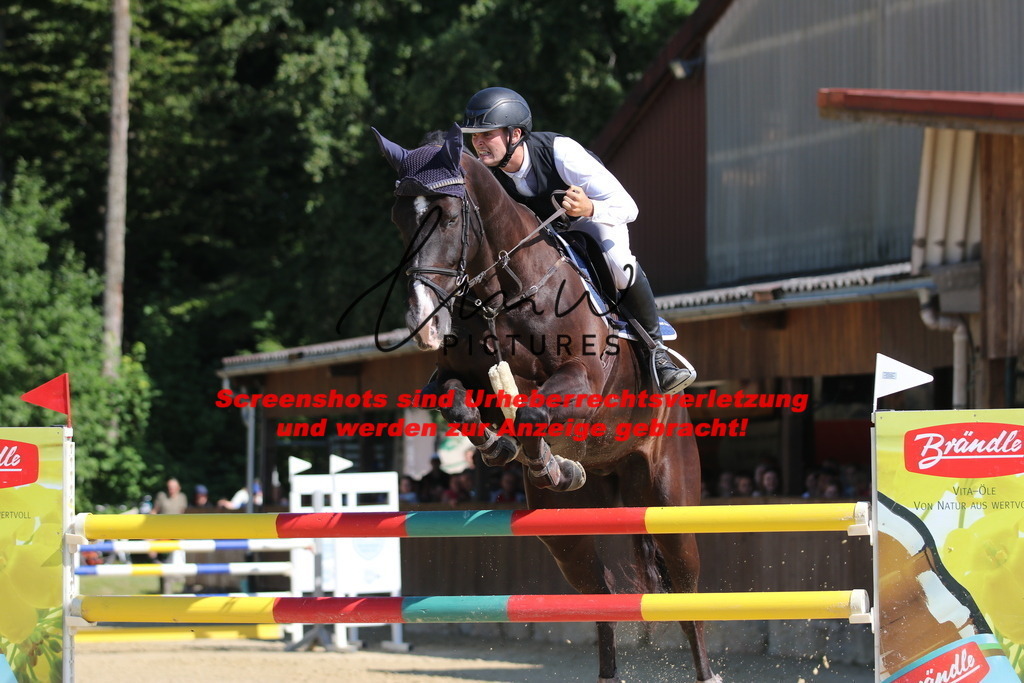 IMG_3169 | lmwpictures - Realisiert mit Pictrs.com