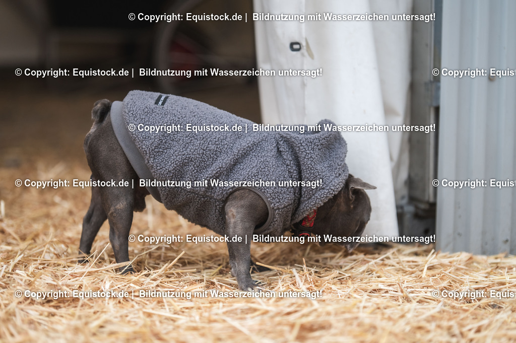 20231117_Impressionen_0170_TOMsPiC | Foto: Thomas Hartig