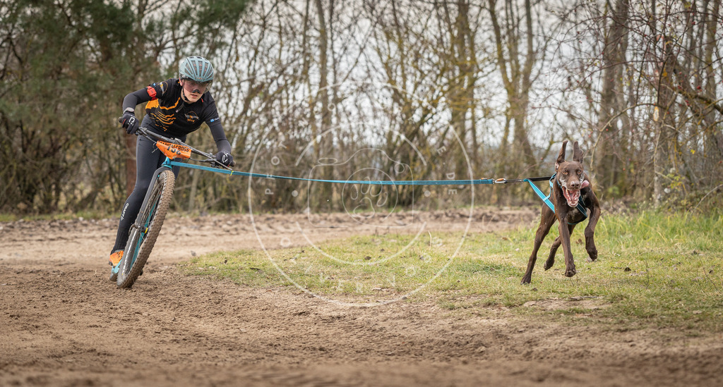 Pfotenfotografie_DV3A9103 | Hundefotografie, Tierfotograf, Pfotenfotografie, Fotoshooting Hund, Hunde Portrait, Hundesport, Hundeportraits, Heideshooting, Hunde, Sportfotograf, Hundefotograf, Turnierhundsport, THS,  - Realisiert mit Pictrs.com