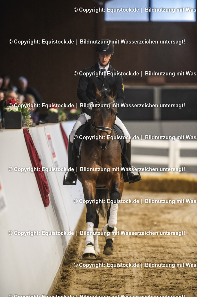 20240302_Hengstvorstellung_Marbach_TOMsPiC_0144-2 | equistock