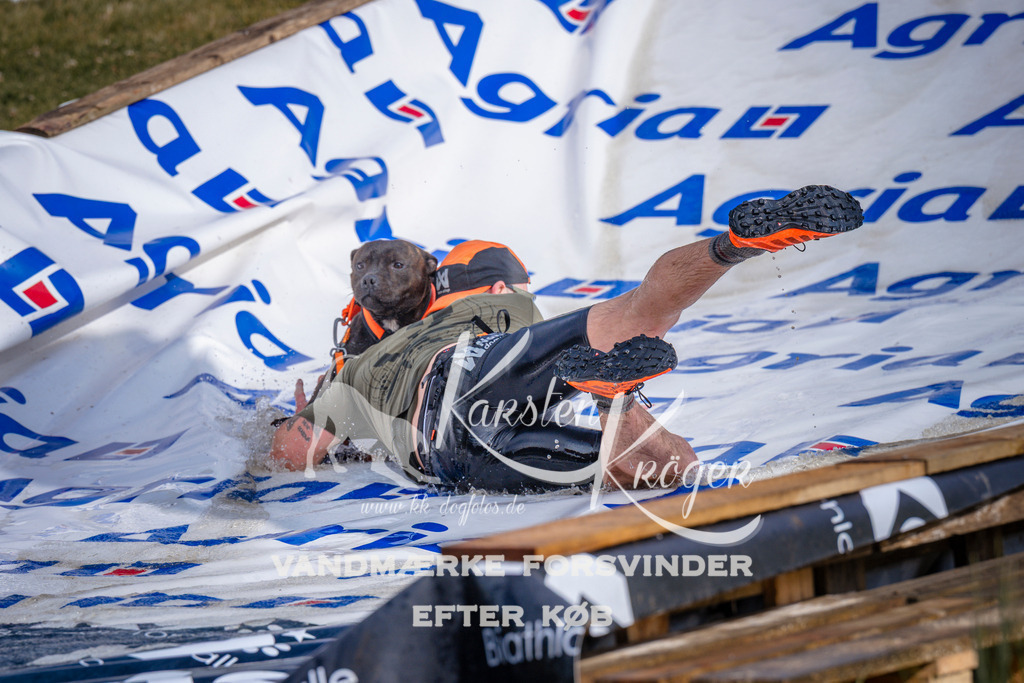 _ZZ977930748 | kk-dogfotos