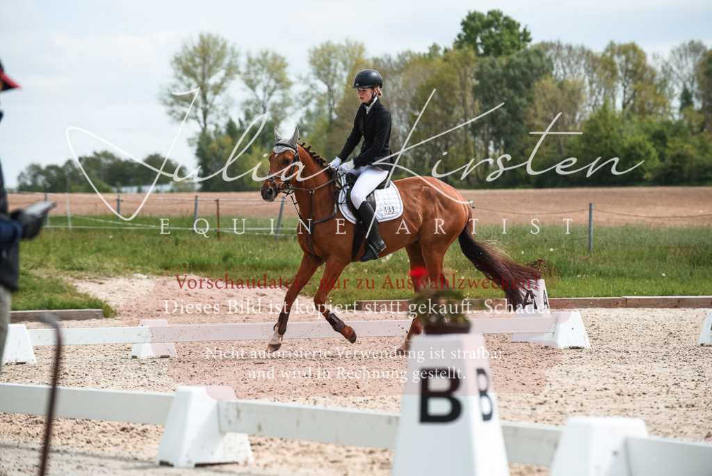 20230518_JK-Röhrsdorf-10-121 | Pferde- und Turnierfotografie in Westsachsen. Pferdeportraits, Auftragszeichnungen und intuitive Kunst.