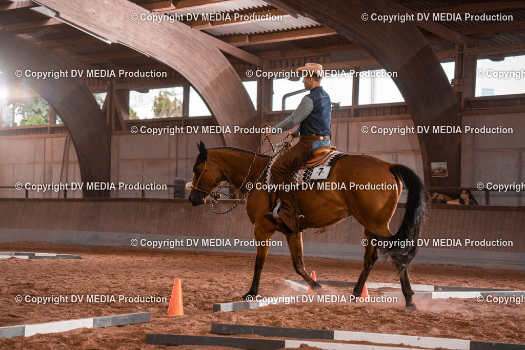 NE200177 | dv-media-shop - Realisiert mit Pictrs.com