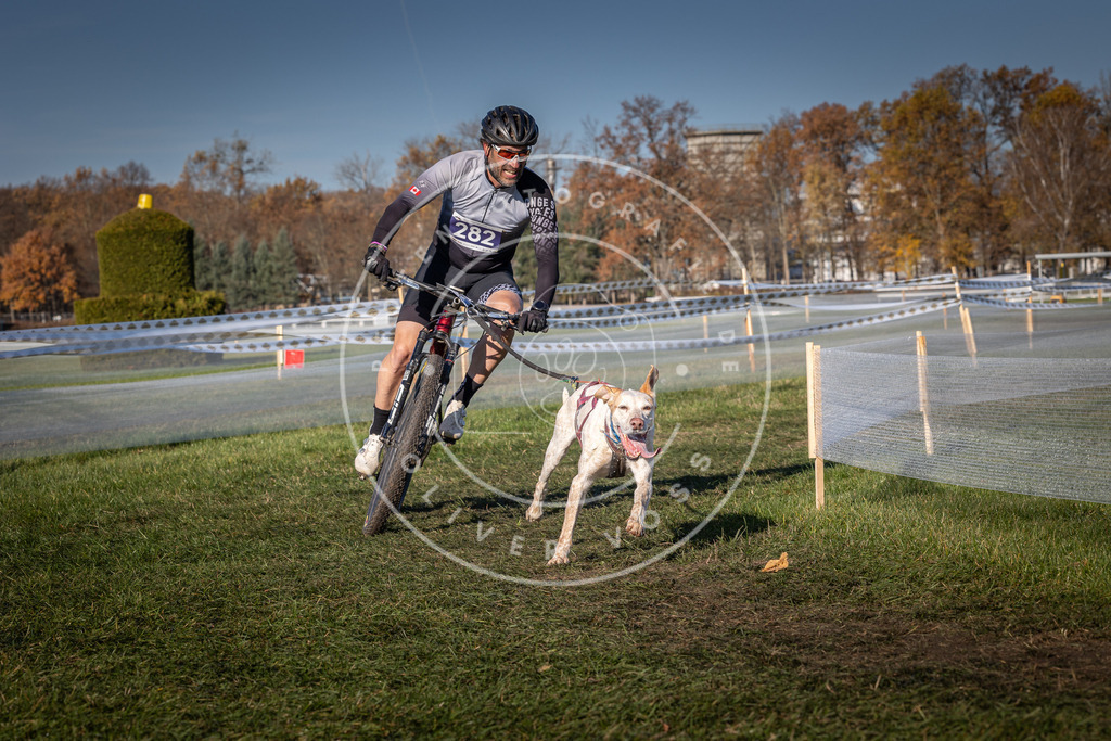 CaniXpix_0L8A5265 | Hundefotografie, Tierfotograf, Pfotenfotografie, Fotoshooting Hund, Hunde Portrait, Hundesport, Hundeportraits, Heideshooting, Hunde, Sportfotograf, Hundefotograf, Turnierhundsport, THS,  - Realisiert mit Pictrs.com