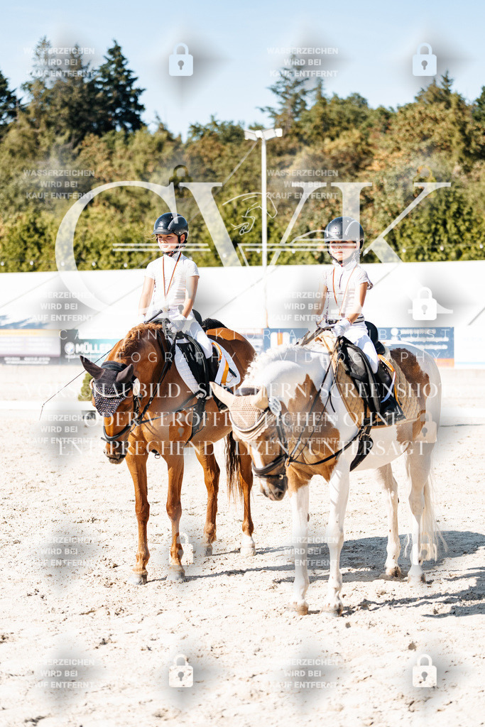 CK903358 | Turnierfotografie Pferdefotografie Trier Rheinland-Pfalz Pferdesport Reitsport Tierfotografie Sportfotografie Pferdevideo Pferdevideografie Equestrianvideography equestrianphotography  - Realisiert mit Pictrs.com