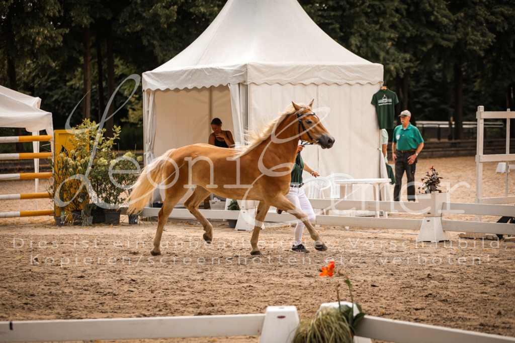 06.So00110 | Leoni Ertmer Photography - Realisiert mit Pictrs.com