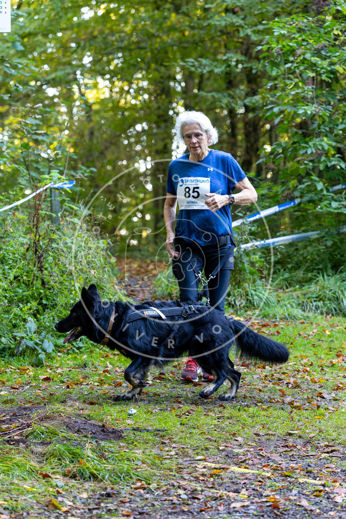 Pfotenfotografie_DV3A7613 | Hundefotografie, Tierfotograf, Pfotenfotografie, Fotoshooting Hund, Hunde Portrait, Hundesport, Hundeportraits, Heideshooting, Hunde, Sportfotograf, Hundefotograf, Turnierhundsport, THS,  - Realisiert mit Pictrs.com