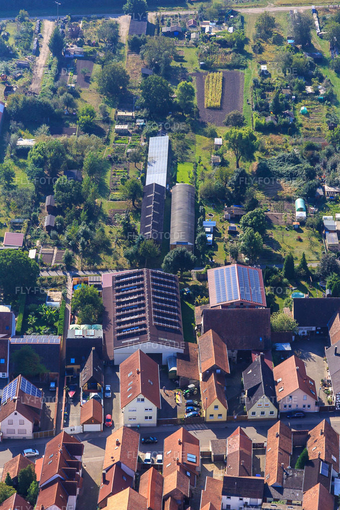 Luftbild: Landwirtschaftliche Hallen am Hintergraben in Kandel im Bundesland Rheinland-Pfalz in Deutschland. Foto: IMG_094914.jpg vom 24.09.2016 durch Werner Riehm/FLY-FOTO.de