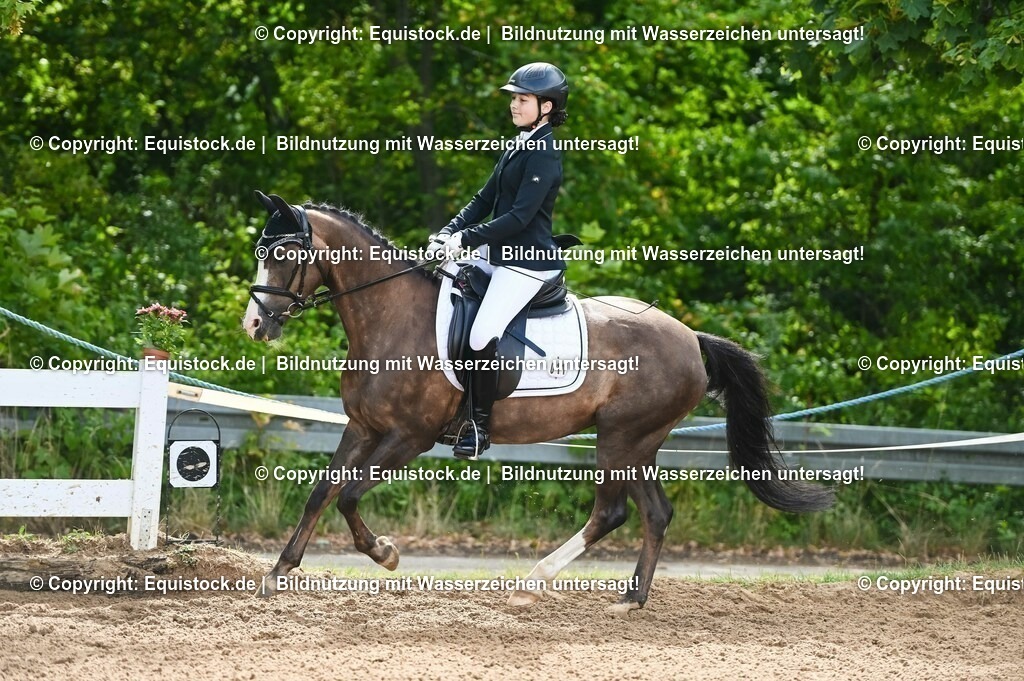 20230716_10-1_Reiter-WB Schritt - Trab - Galopp_0181 | equistock