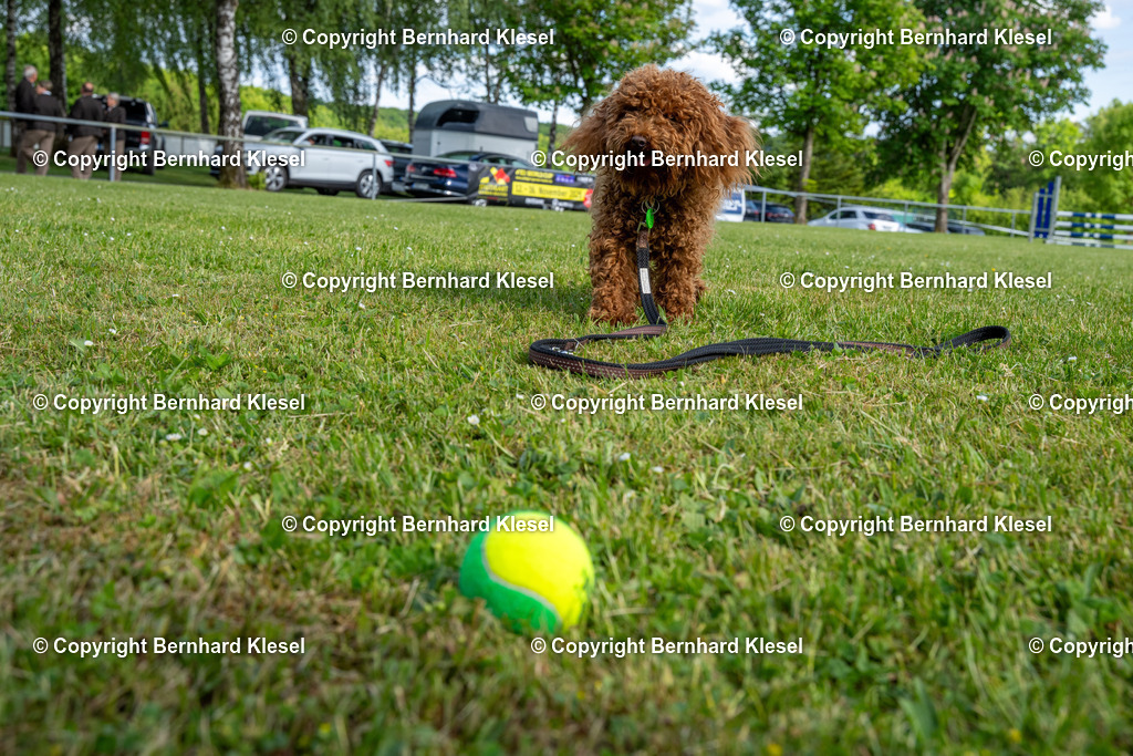 A1S04133 | foto-team-bernhard - Realisiert mit Pictrs.com