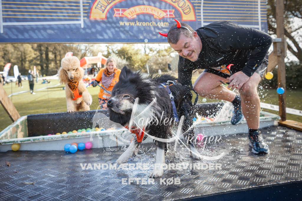1307_ZZ99154-2 | kk-dogfotos