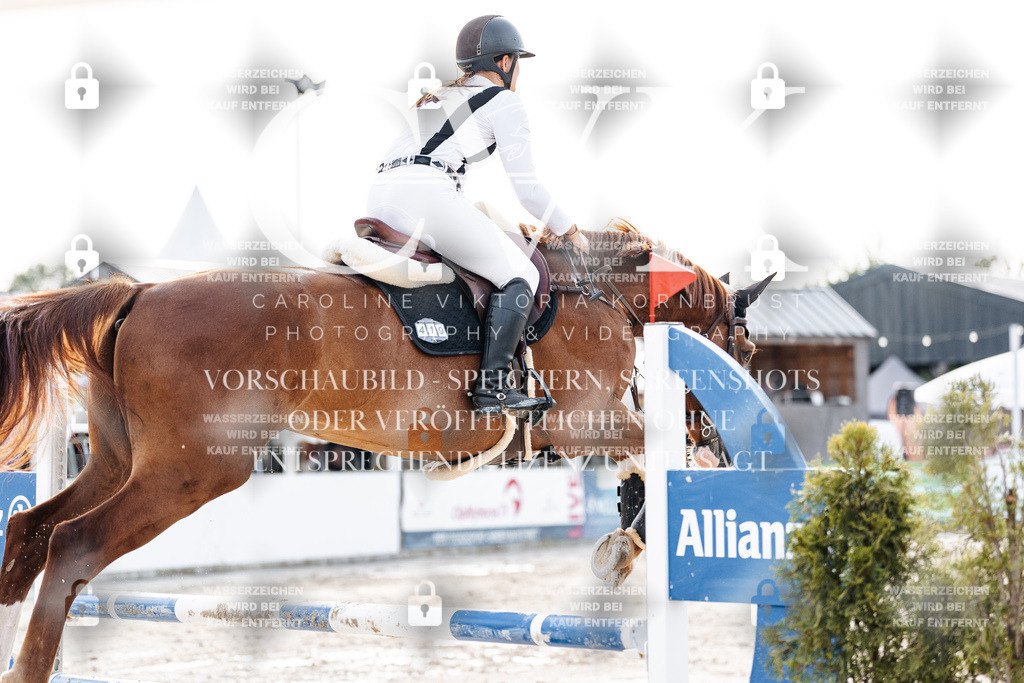 CK906943 | Turnierfotografie Pferdefotografie Trier Rheinland-Pfalz Pferdesport Reitsport Tierfotografie Sportfotografie Pferdevideo Pferdevideografie Equestrianvideography equestrianphotography  - Realisiert mit Pictrs.com