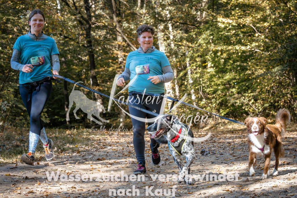 1231_ZZ95466 | kk-dogfotos