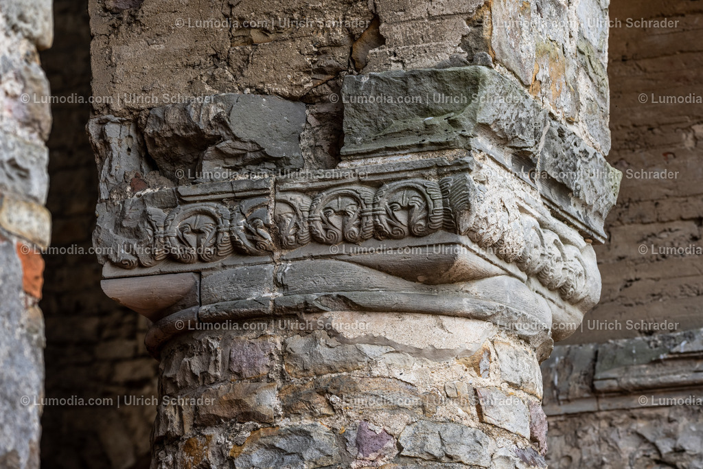 10049-12512 - Schloß und Stiftskirche Leitzkau | Stockfoto und Bilderpool mit Bildmaterial aus Deutschland, dem Harz, Halberstadt, Quedlinburg, Wernigerode und weltweit. Qualitativ hochwertige und professionelle Fotos anschauen und kaufen. - Realisiert mit Pictrs.com