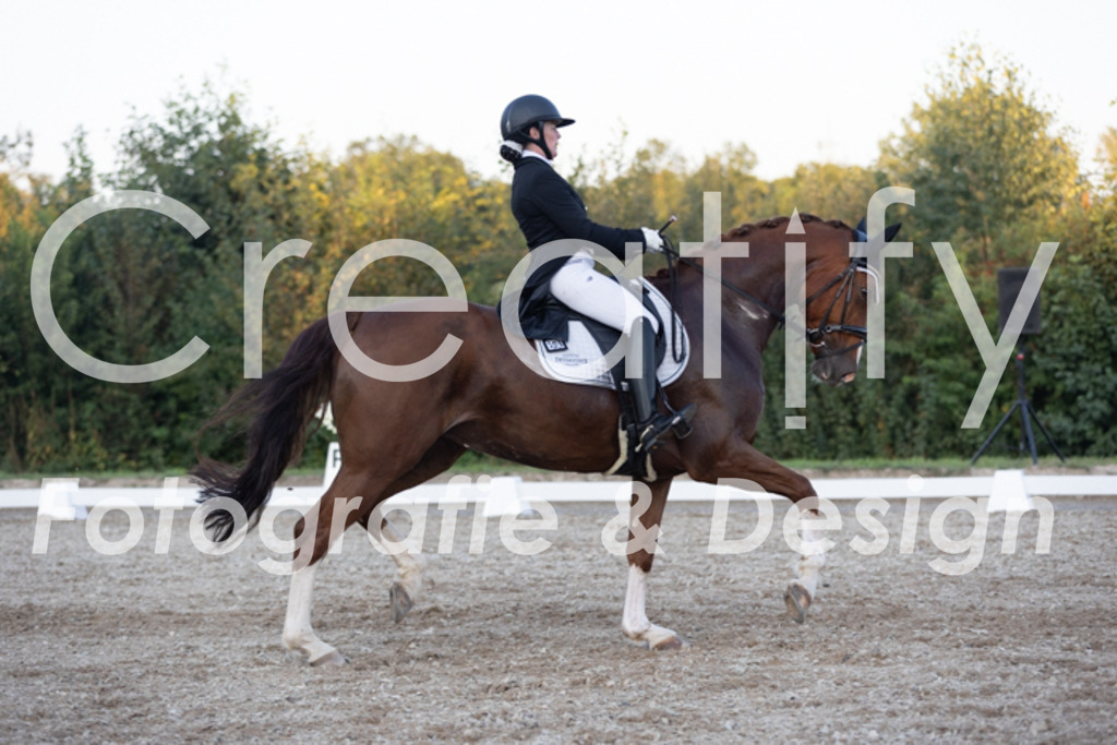 IMG_1867 | Creatify Fotografie