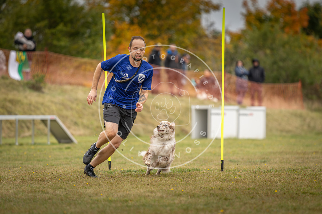Pfotenfotografie_DV3A5466 | Hundefotografie, Tierfotograf, Pfotenfotografie, Fotoshooting Hund, Hunde Portrait, Hundesport, Hundeportraits, Heideshooting, Hunde, Sportfotograf, Hundefotograf, Turnierhundsport, THS,  - Realisiert mit Pictrs.com