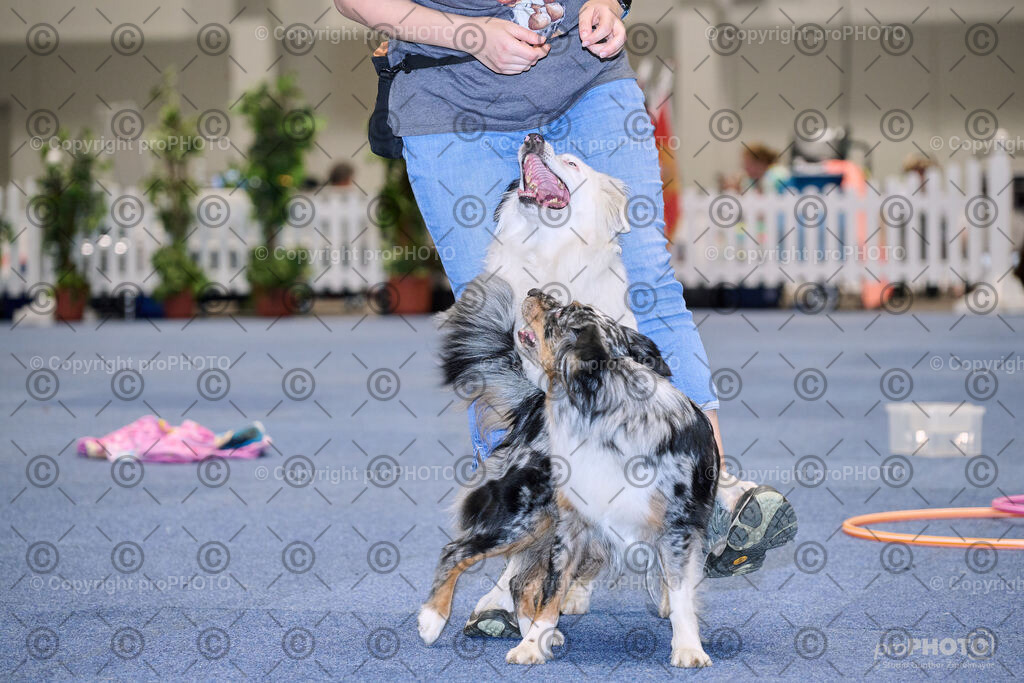 202406_ÖKV-IHA-Tulln24_NZ9_7715 | proPHOTO - Realisiert mit Pictrs.com