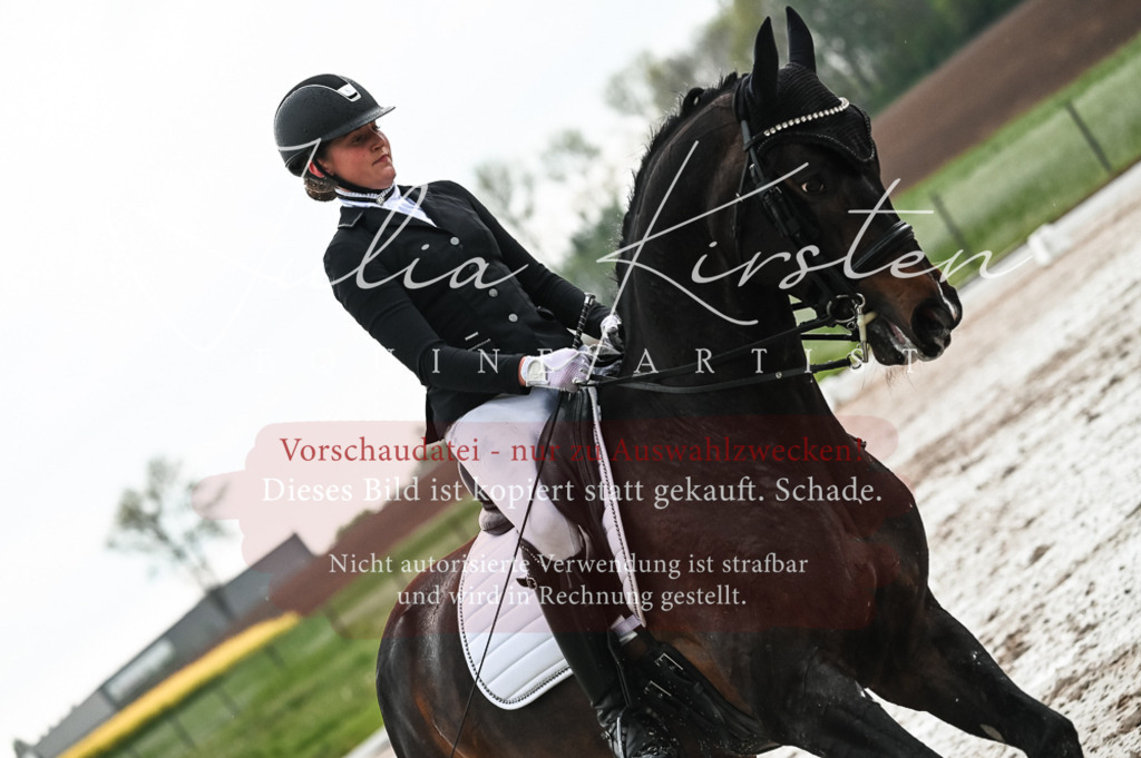 DSC_4359 | Pferde- und Turnierfotografie in Westsachsen. Pferdeportraits, Auftragszeichnungen und intuitive Kunst.