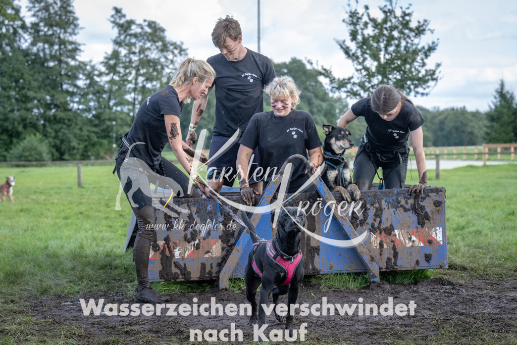1435_ZZ92786 | kk-dogfotos