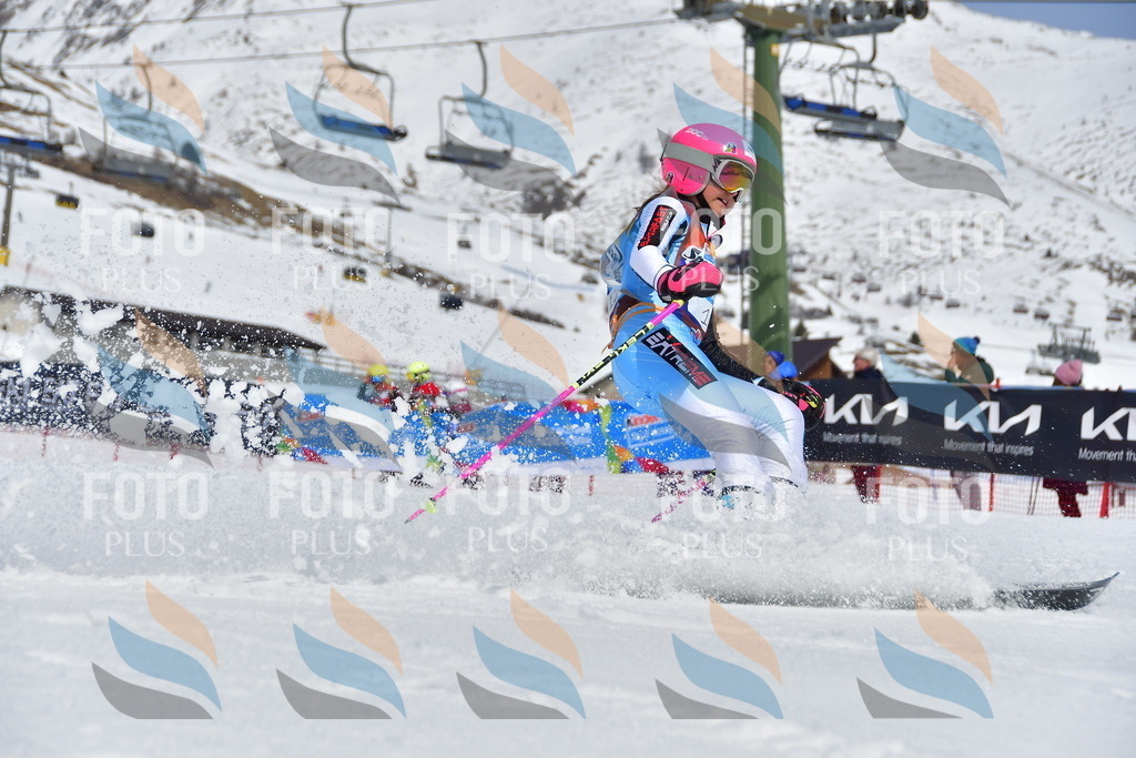 _DSC6775 | holidayphoto