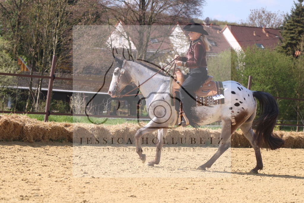IMG_0135 | jessicahollubetz_pferdephotographie - Realisiert mit Pictrs.com