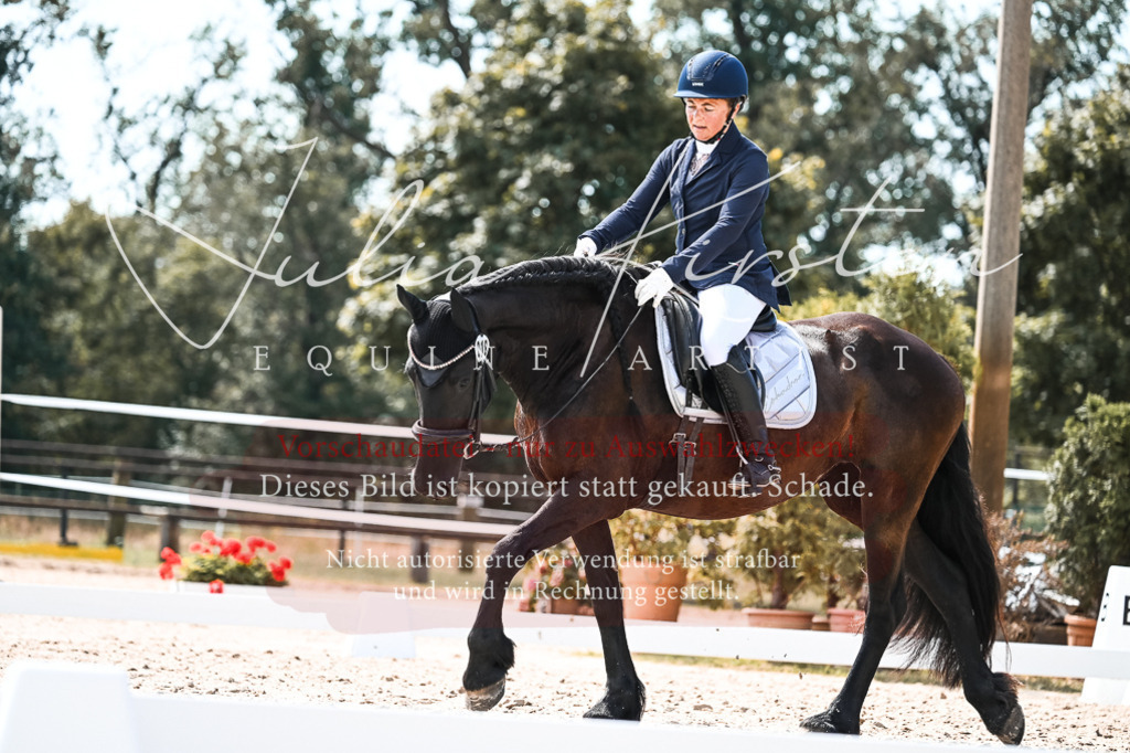 DSC_5418 | Pferde- und Turnierfotografie in Westsachsen. Pferdeportraits, Auftragszeichnungen und intuitive Kunst.