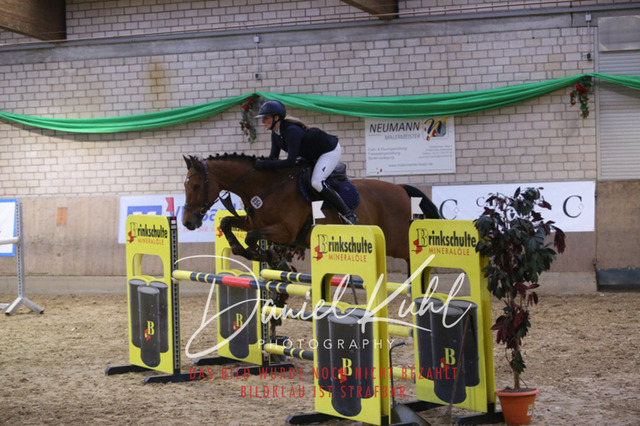 IMG_0905 | Turnierfotos kaufen im Webshop von Daniel Kuhl Photography – entdecke professionelle Reitsportfotos aus Turnieren & Events. Hochwertige Turnierbilder online bestellen & sichern. Jetzt Fotos von Reitsportturnieren kaufen!