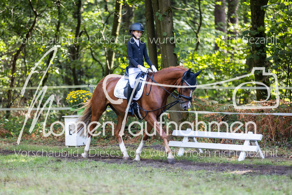 HB-Reiter-WB-093 | MomenTaufnahmen Pferdesportfotos