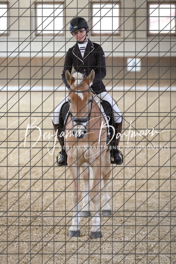 AZ2A8723 | Benjamin Bartmann Photomoments