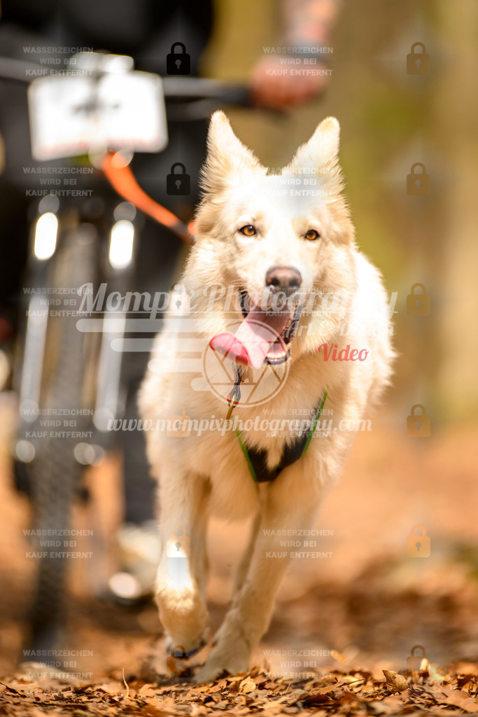 MompixPhotography_Habay2025_SA_Bike-172 | PayLife
