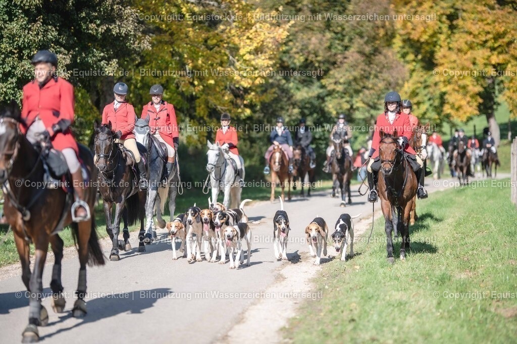 20251011_Jagd-Marbach_0587 | Foto: Thomas Hartig